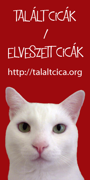 Tal�lt cic�k / Elveszett cic�k